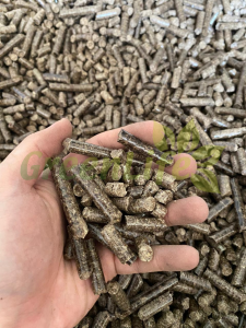 Wood Pellet is produced at Greenlife Asia factory